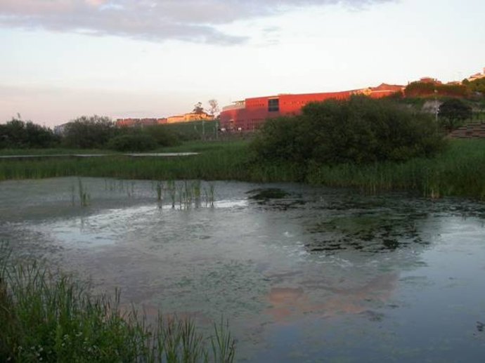 Campus de las Llamas 