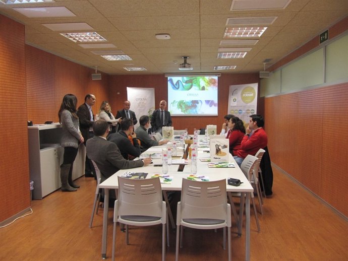 Taller formativo de Citoliva