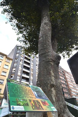 Placa identificación arbolado Santander 