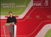PSOE-A insta a decir el 28 de febrero que "nadie va a poner de rodillas a Andalucía"