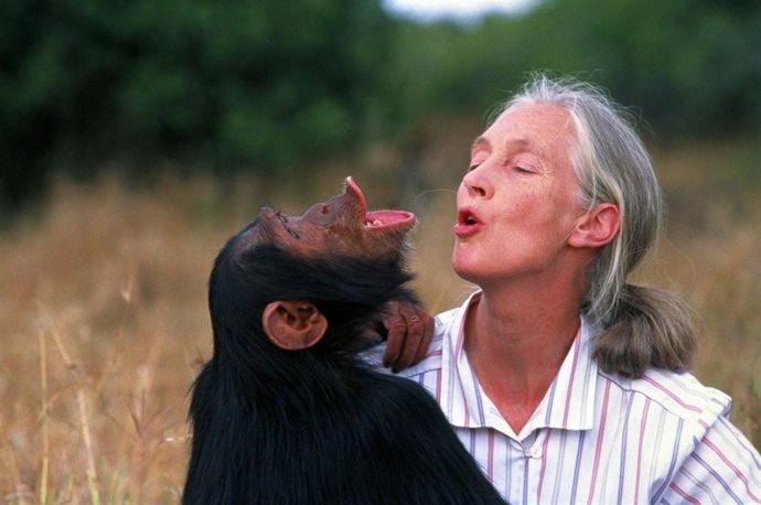 Jane Goodall 