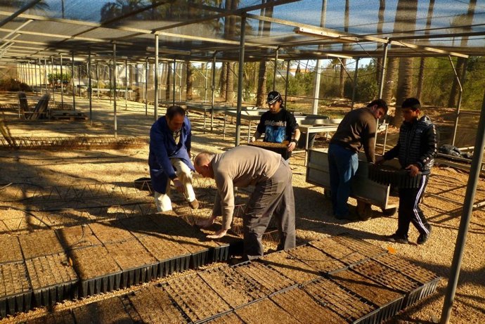 La UPCT y CreeCT colaboran en la recuperación de los bosques autóctonos 