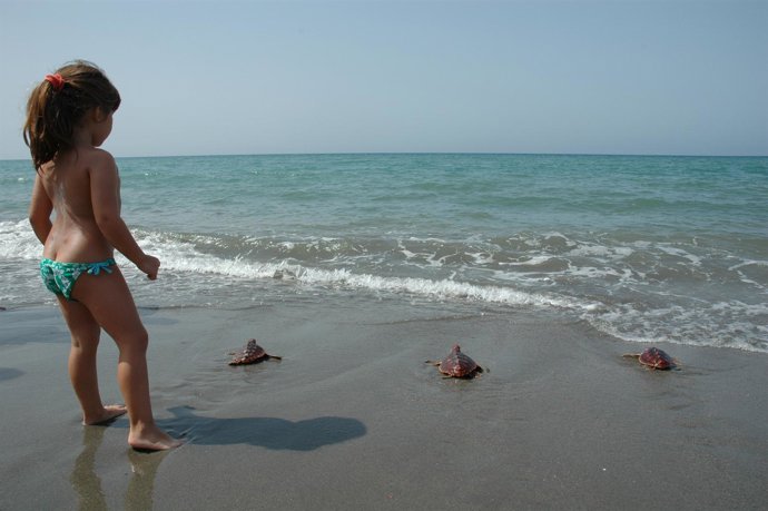Suelta De Tortugas Bobas En Cabo De Gata