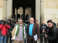 Fiscalía Superior pide al TSJA que continúe el proceso contra Gordillo por su actuación el 29-M