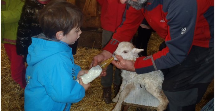 Reportaje pastor por un día