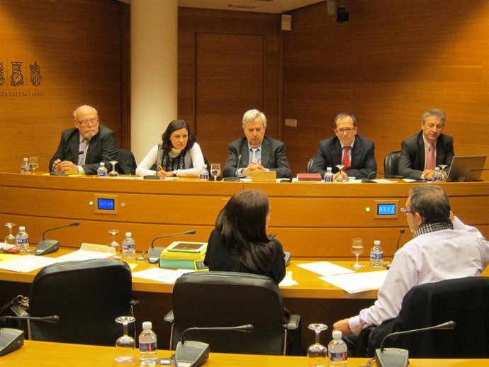 Exmiembro de la comisión de control de la CAM Remedios Ramón 