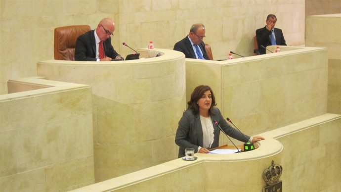 Pleno Sáenz de Buruaga