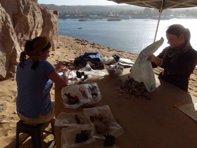 Excavación en Asuán, junto a El Cairo