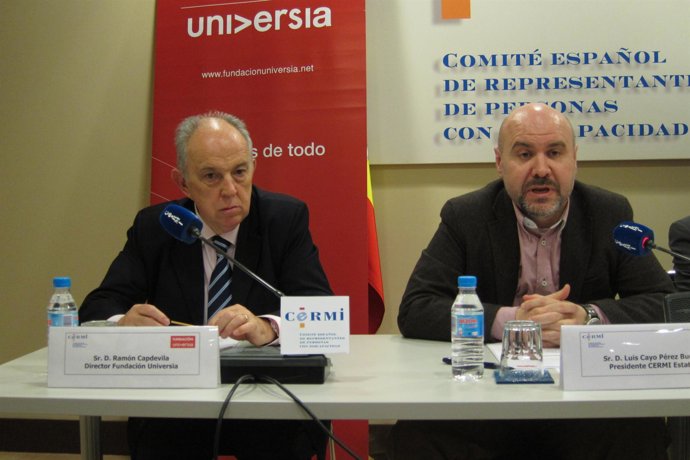 Director de la Fundación Universia y presidente del CERMI