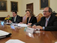 La Sociedad Nuclear Española reclama un marco "estable y predecible" a "corto, medio y largo plazo" para la energía