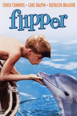 La serie de televisión 'Flipper' 
