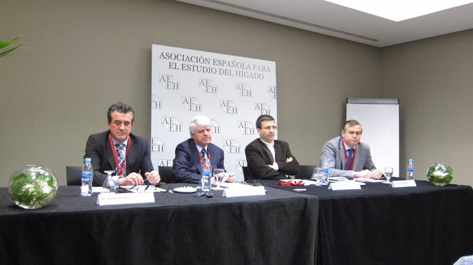 Imagen de los expertos durante la presentación del congreso de la AEEH