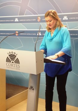 La consejera Pilar del Olmo comparece ante los medios