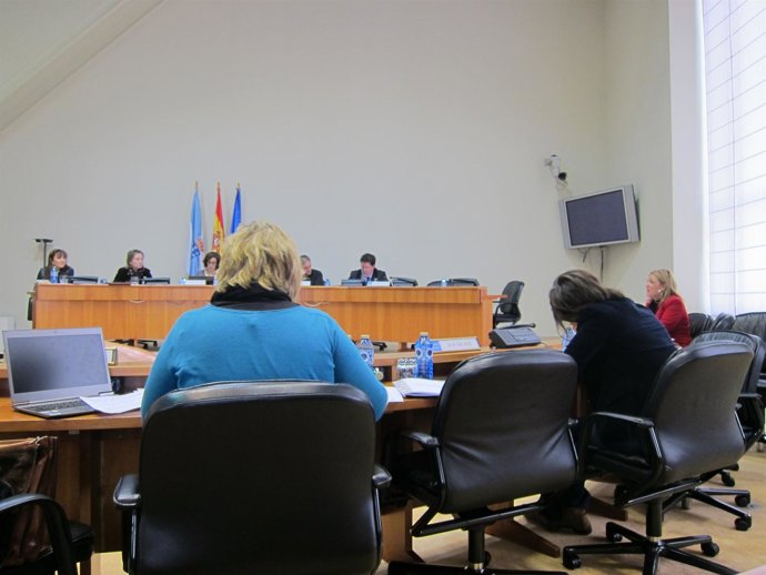 Comisión Institucional