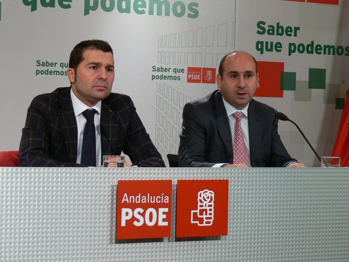 NP. PSOE Francisco Conejo, Noel López Reforma Local 20130220