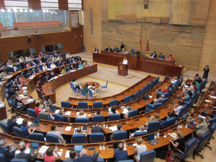 Pleno Asamblea De Madrid