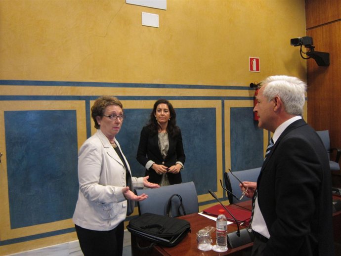 La consejera de Hacienda y Administración Pública, Carmen Martínez Aguayo