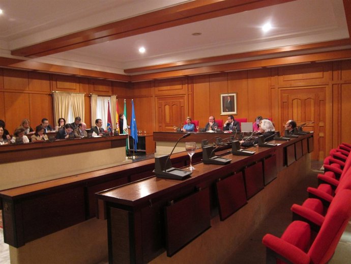 Celebración del Pleno Extraordinario de la Copa Davis