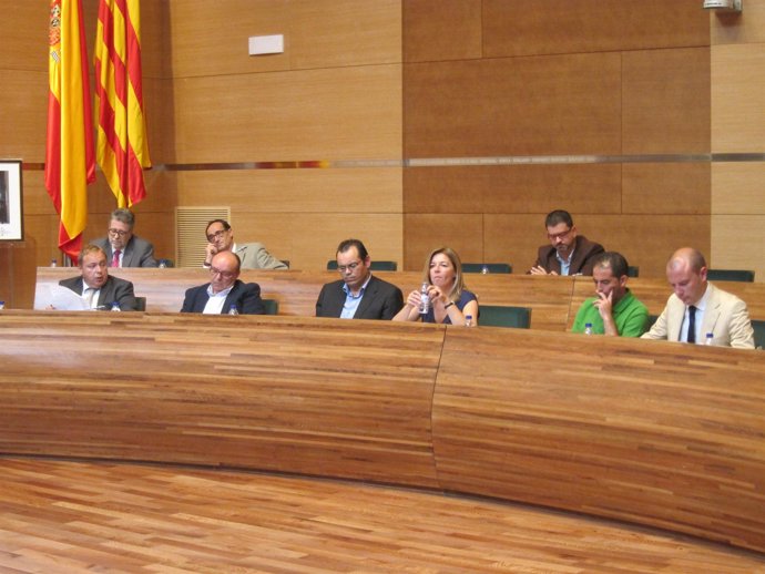 Orengo en el pleno de la Diputación