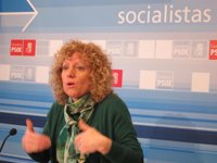 El PSOE pide a Diego que presente las declaraciones de la renta y patrimonio de los tres últimos años