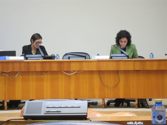 La directora xeral de Familia e Inclusión en comisión