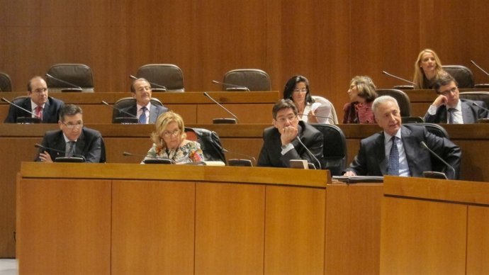 Pleno de las Cortes de Aragón. 