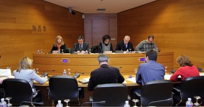 Comisión de Educación y Cultura en las Corts