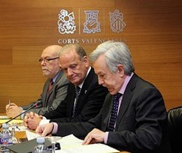 Martínez Abarca, en el centro, en la Comisión de la CAM