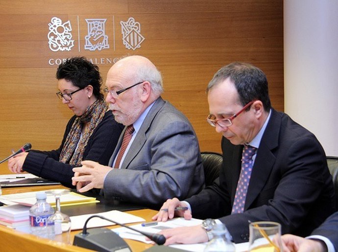 Noelia Sala en la Comisión de la CAM en las Corts