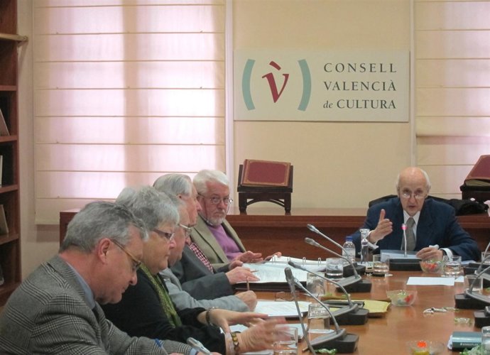 Pleno del CVC