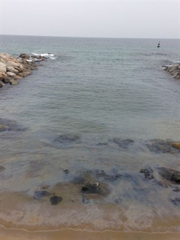 Mancha marina de hidrocarburo en la costa de Badalona.