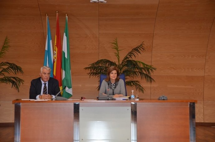 La alcaldesa de Fuengirola, Esperanza Oña, en un pleno