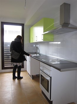 Una Cocina De Un Piso Nuevo En Zaragoza. Viviendas, Alquiler, Compra, Cocinas