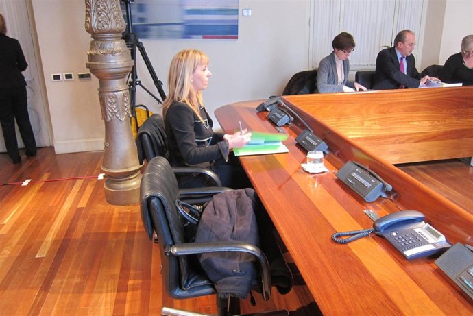 Ana María Fernández