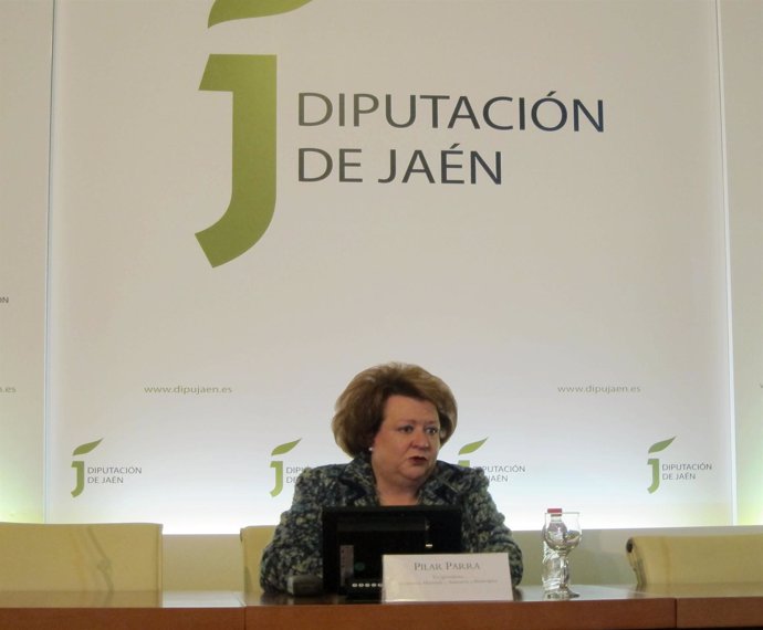 La vicepresidenta de la Diputación de Jaén, Pilar Parra, en rueda de prensa.