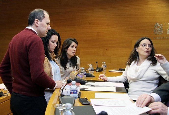 Comisión de Política Social en las Corts