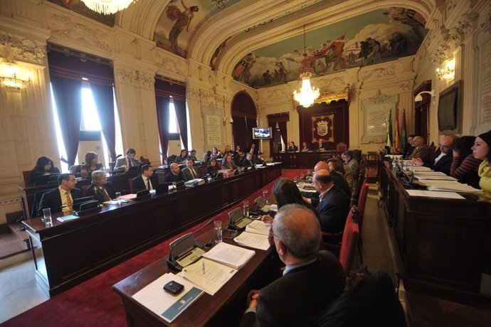  Pleno De Febrero Del Ayuntamiento De Málaga