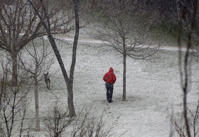 Nieve en Madrid