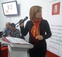 La dirección del PSOE no piensa "volar" su pacto con el PSC y espera tener pronto un nuevo marco de relación