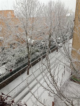 Nevada en Granada capital