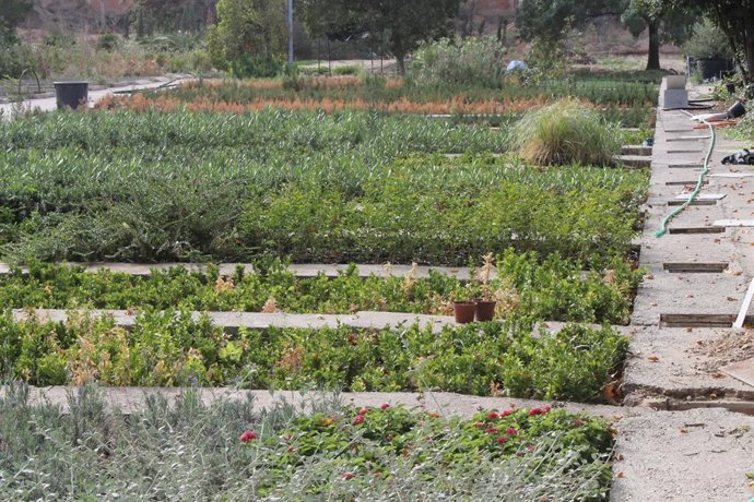 Vivero de la Diputación Provincial de Zaragoza (DPZ)