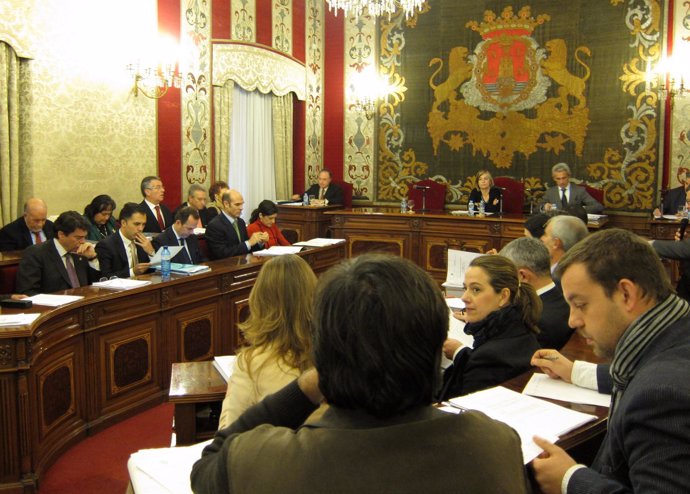 Pleno ordinario de febrero en Alicante