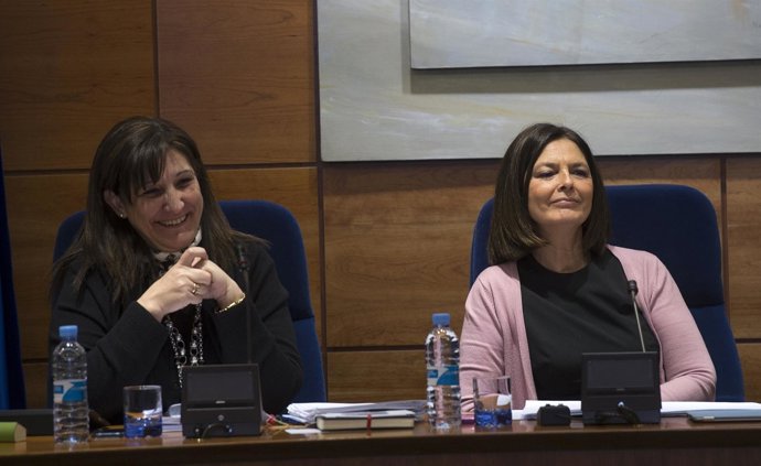 Imagen del Pleno municipal