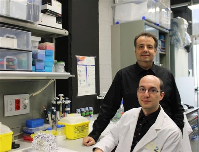 Investigación de Argon Pharma