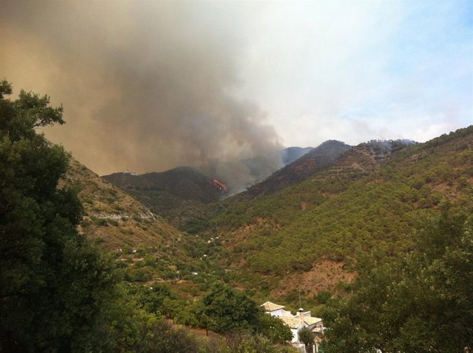 Incendio Ojén. Paraje Juanar