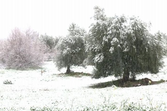 El sur de Badajoz teñido de blanco por la nieve