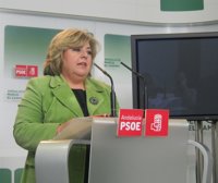 PSOE-A valora el "gran esfuerzo" de la Junta para rebajar el déficit y el "doble mérito" de hacerlo "sin recortes"