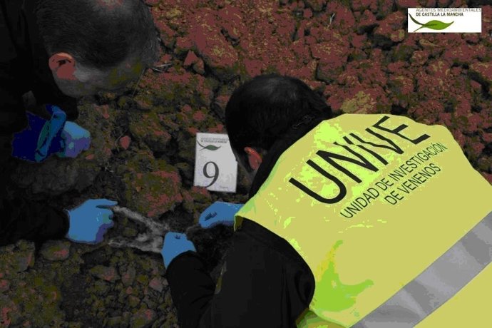 Agentes de la Unidad