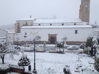 Las nevadas dejan fuertes daños en el olivar de Guadalcanal, según el alcalde