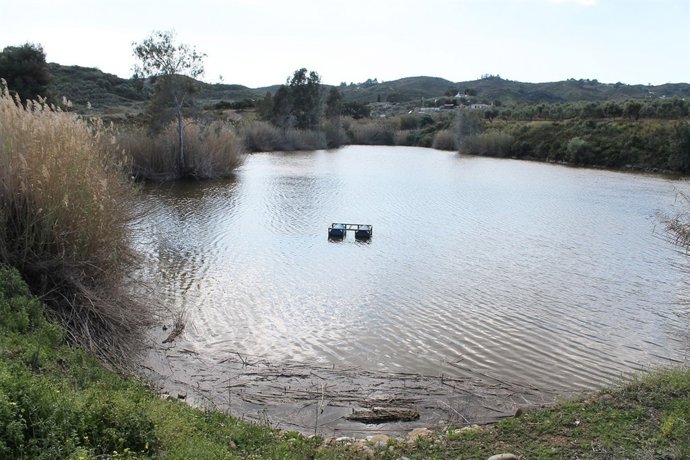 Laguna de Mijas donde se busca un cocodrilo